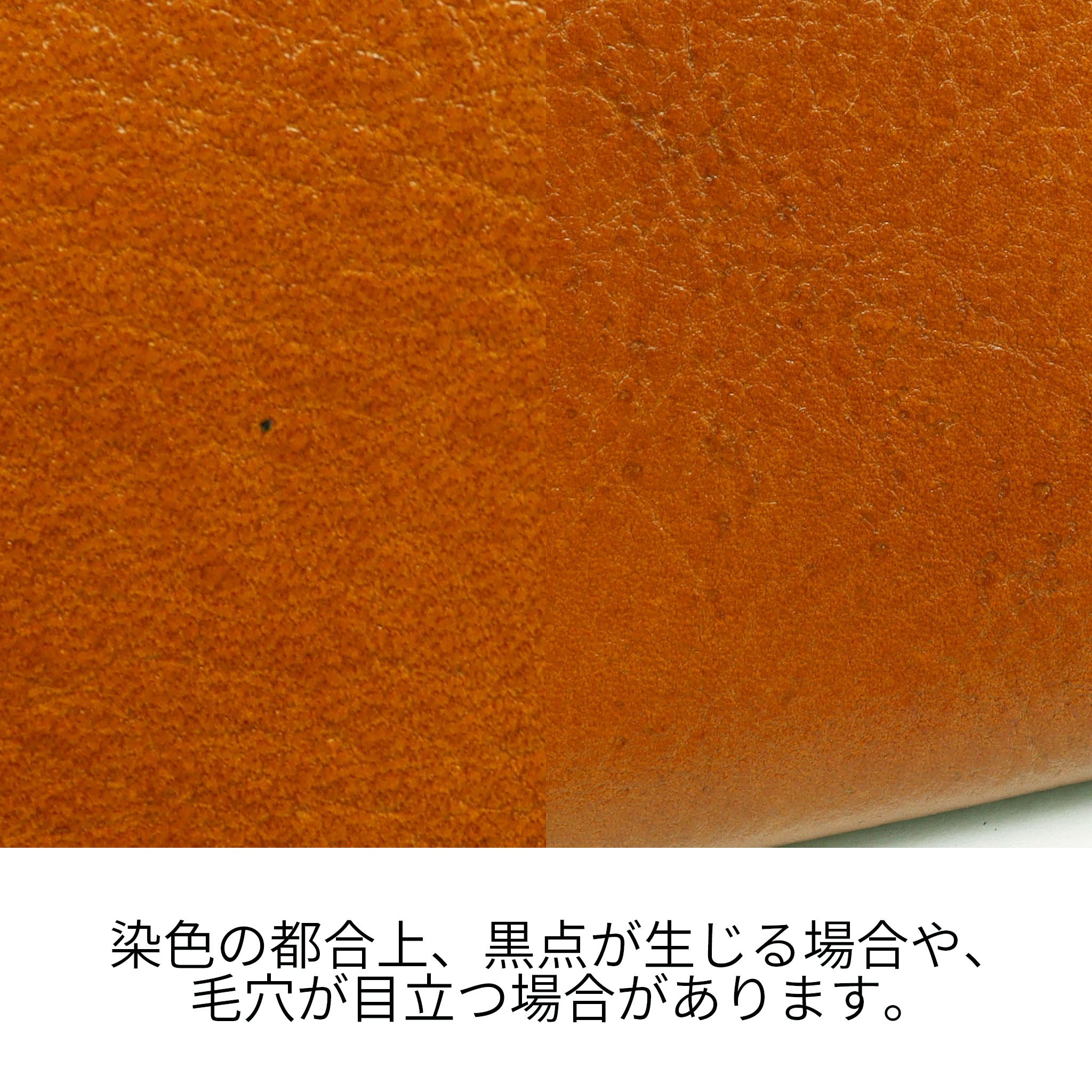Dakota フォンス2 二つ折り財布 0031801