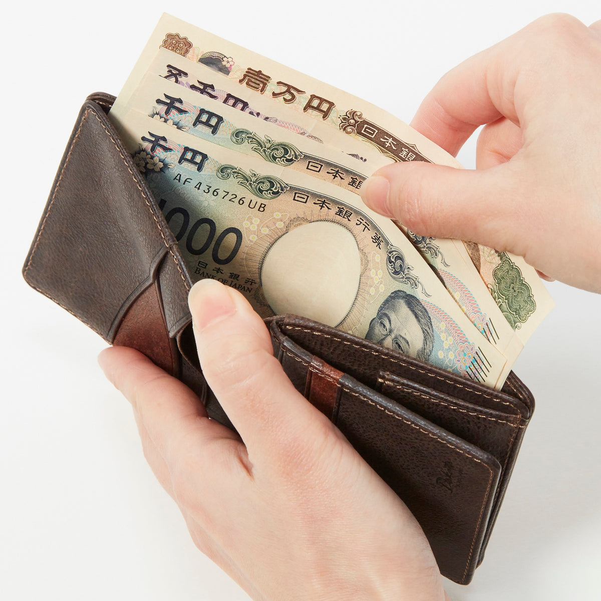 Dakota BLACK LABEL セディメント 二つ折り財布 0622000