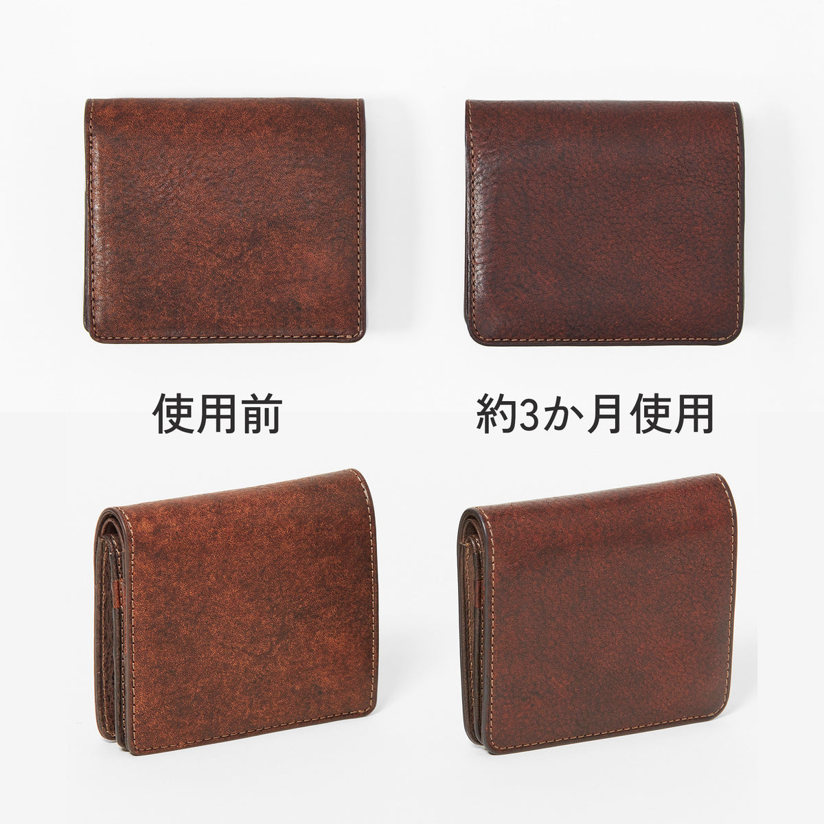 Dakota BLACK LABEL セディメント 二つ折り財布 0622000