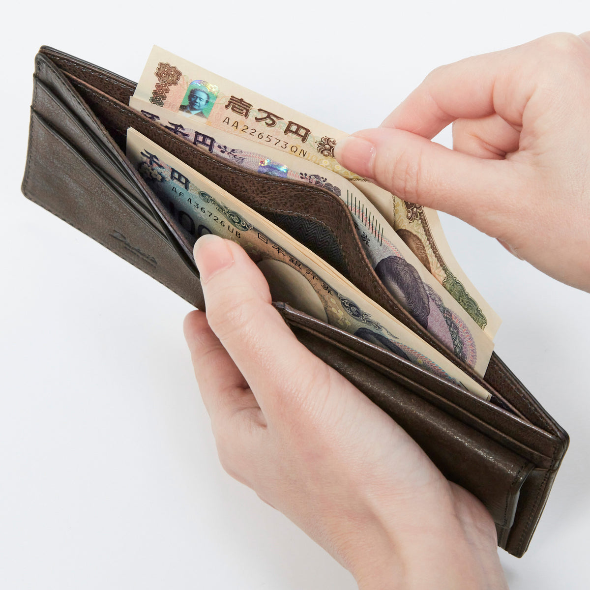 札入れは仕切りがあり、整理してお使いいただけます。