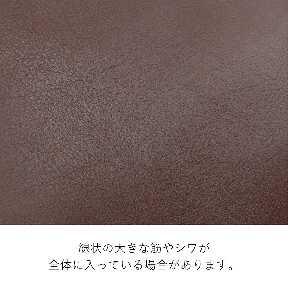 【新色チャコールブラック追加】Dakota 【公式WEB限定品】 ロートン リュック 1541120