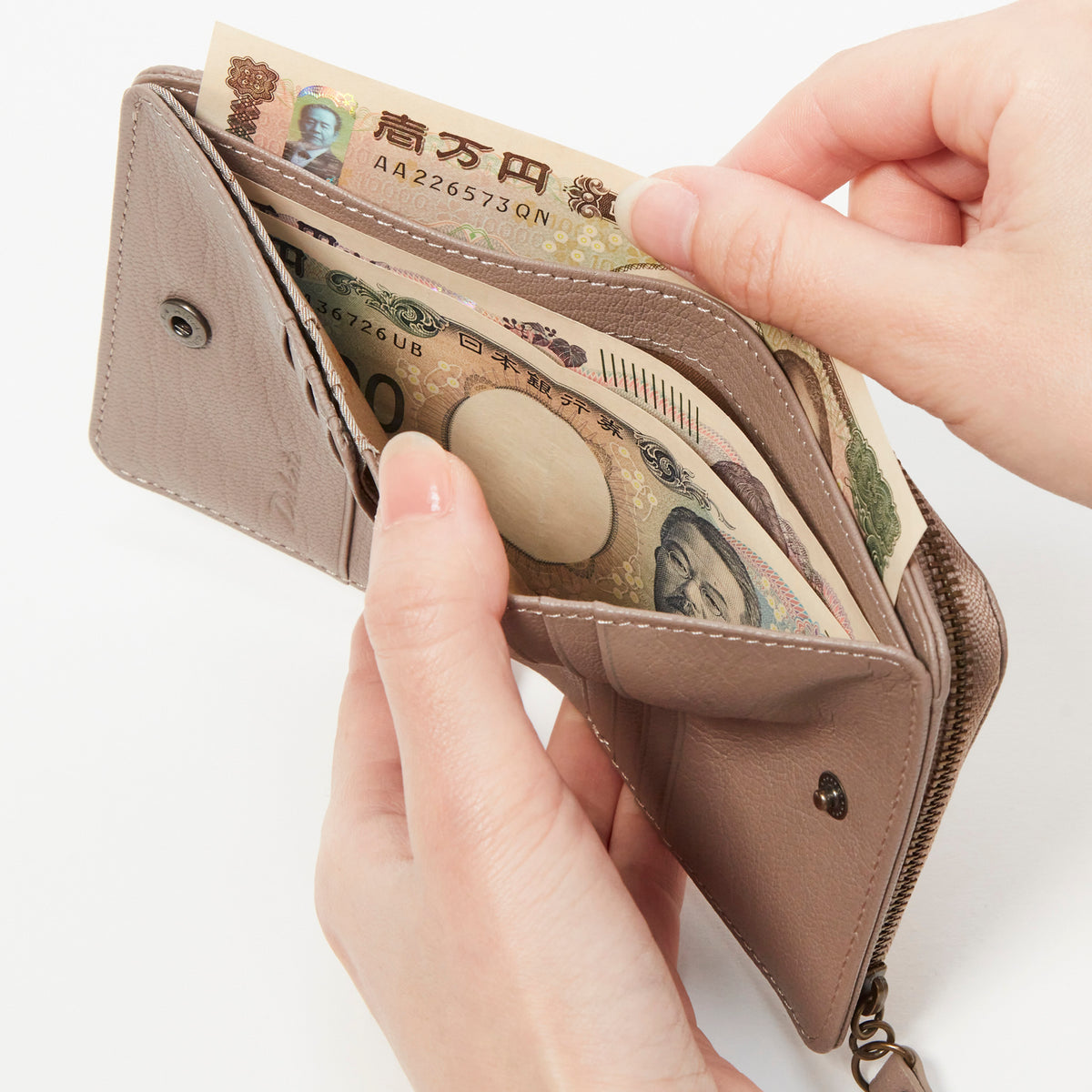 札入れは仕切り付き。紙幣がぴったり入るサイズ感です。