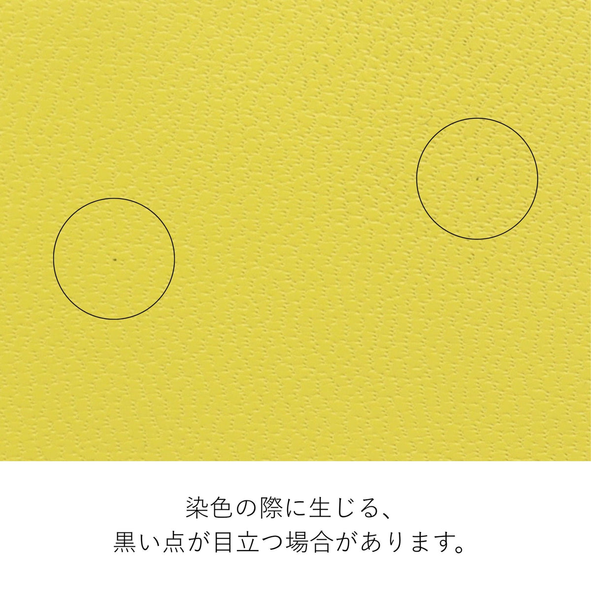 【公式WEB限定品】Dakota レア2 L字ファスナー長財布 0038636