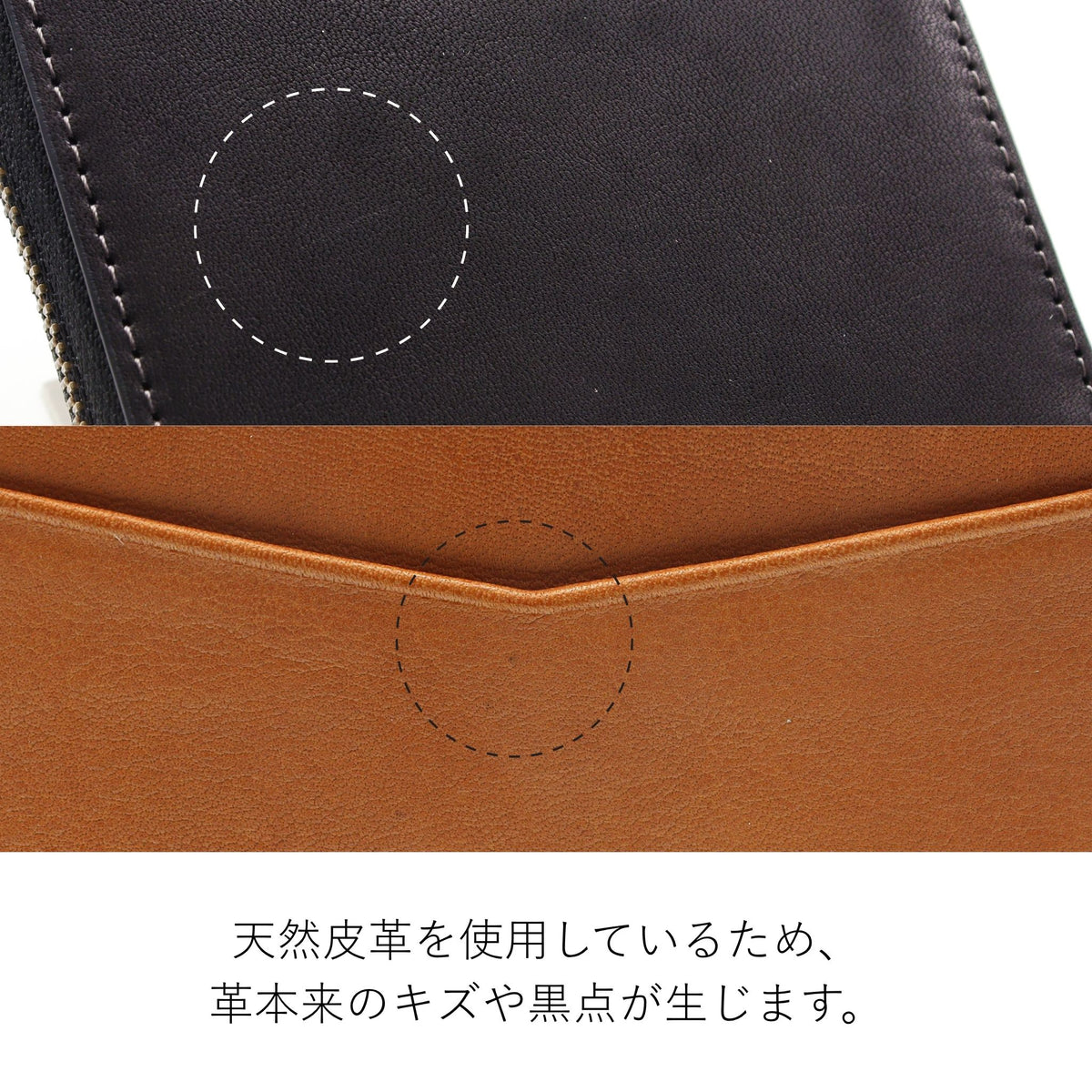Dakota BLACK LABEL パルモ カードケース 0621904